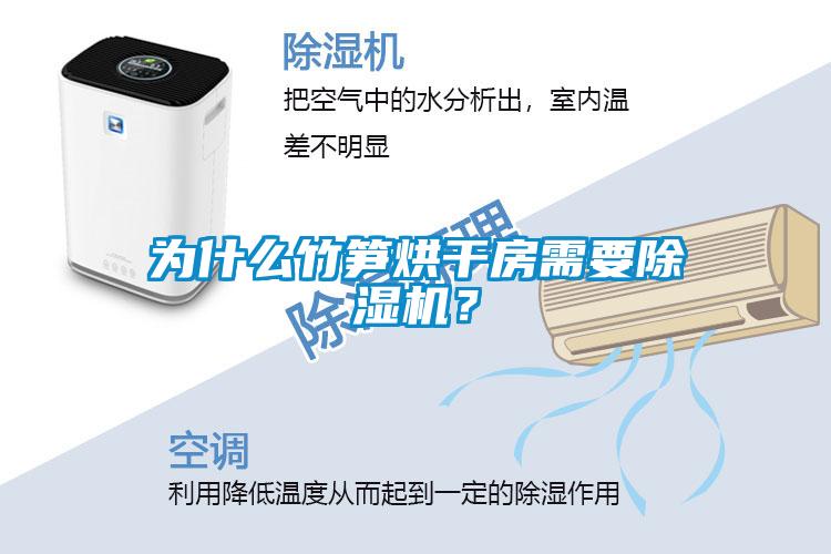 為什么竹筍烘干房需要除濕機(jī)?