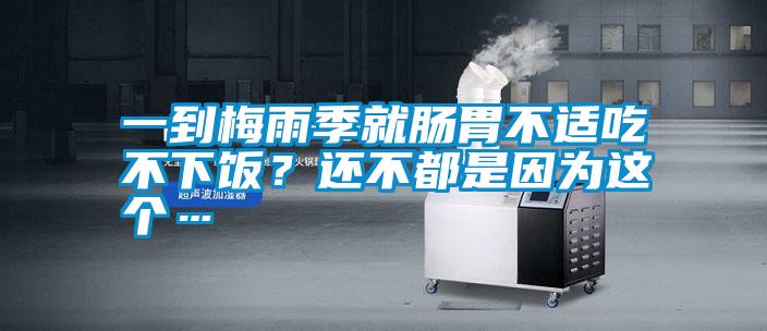 一到梅雨季就腸胃不適吃不下飯?還不都是因?yàn)檫@個(gè)…