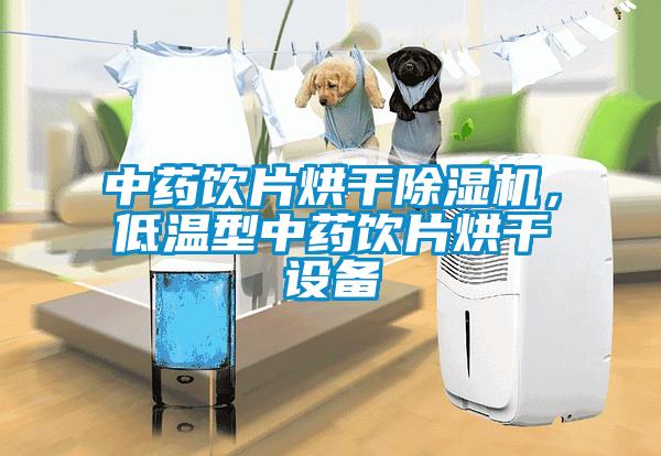中藥飲片烘干除濕機,低溫型中藥飲片烘干設備