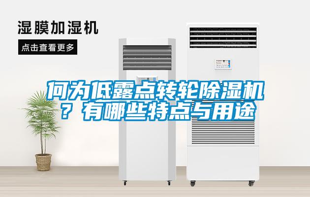 何為低露點轉輪除濕機?有哪些特點與用途