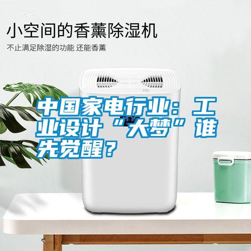中國(guó)家電行業(yè):工業(yè)設(shè)計(jì)“大夢(mèng)”誰(shuí)先覺(jué)醒?
