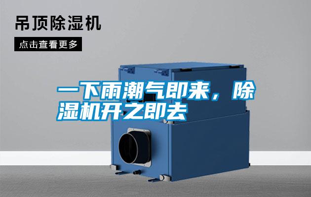 一下雨潮氣即來,除濕機開之即去