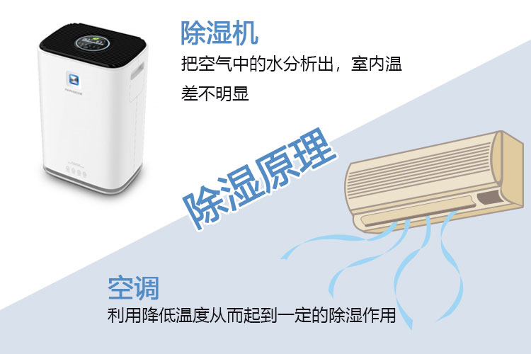 1541385022768403.jpg 未標(biāo)題-2.jpg