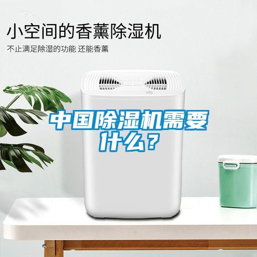 中國除濕機需要什么?