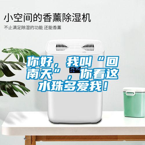 你好,我叫“回南天”,你看這水珠多愛我!