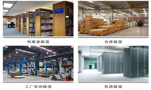 為什么竹筍烘干房需要除濕機?