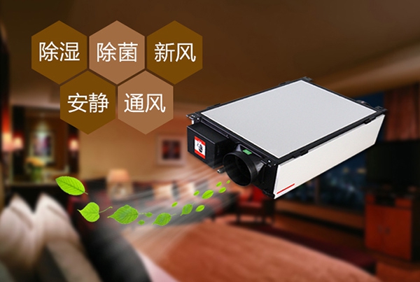為什么冷庫除濕機會出現結霜的情況？