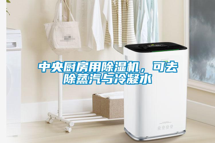 中央廚房用除濕機,可去除蒸汽與冷凝水