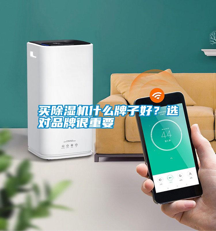 買除濕機(jī)什么牌子好?選對(duì)品牌很重要