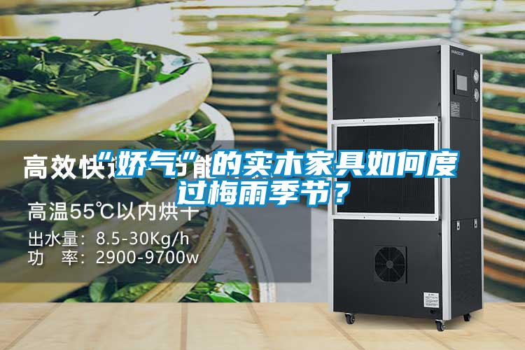 “嬌氣”的實木家具如何度過梅雨季節？