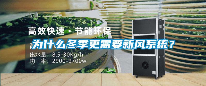 為什么冬季更需要新風系統？