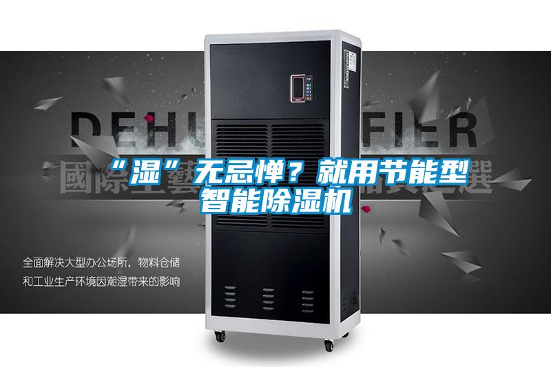 “濕”無忌憚?就用節(jié)能型智能除濕機(jī)