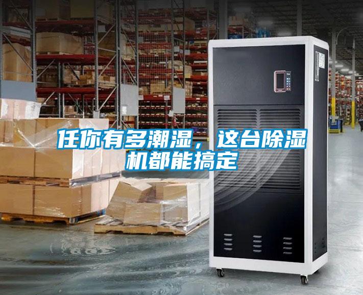 任你有多潮濕,這臺除濕機都能搞定