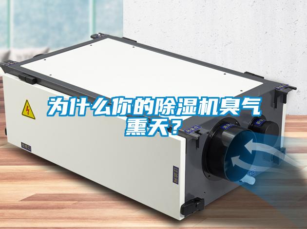 為什么你的除濕機臭氣熏天？