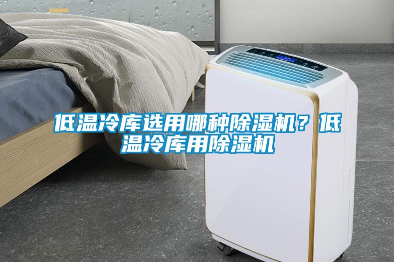低溫冷庫選用哪種除濕機(jī)?低溫冷庫用除濕機(jī)
