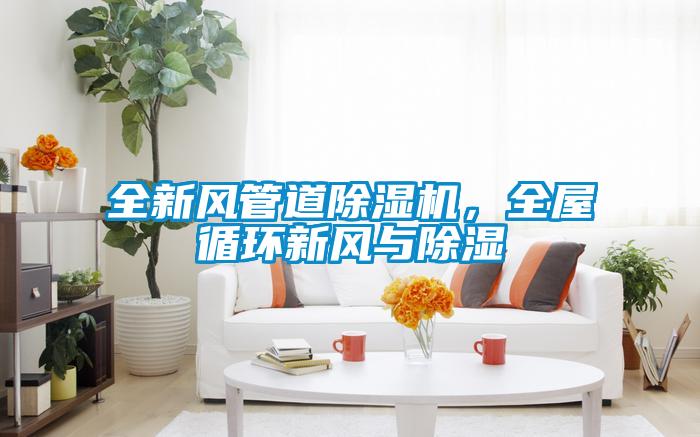 全新風管道除濕機,全屋循環新風與除濕