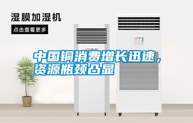 中國銅消費增長迅速,資源瓶頸凸顯
