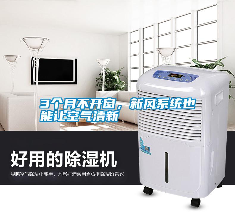 3個月不開窗,新風系統也能讓空氣清新