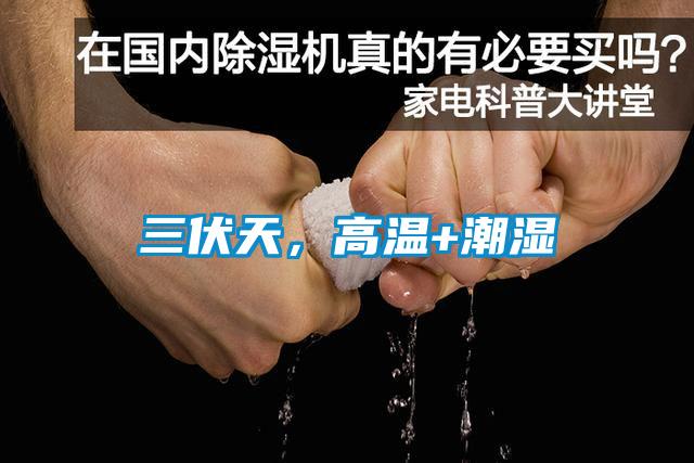 三伏天,高溫+潮濕