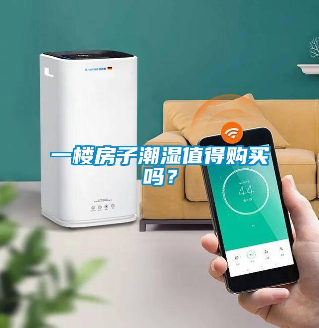 一樓房子潮濕值得購買嗎?