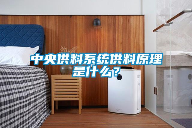 中央供料系統(tǒng)供料原理是什么?