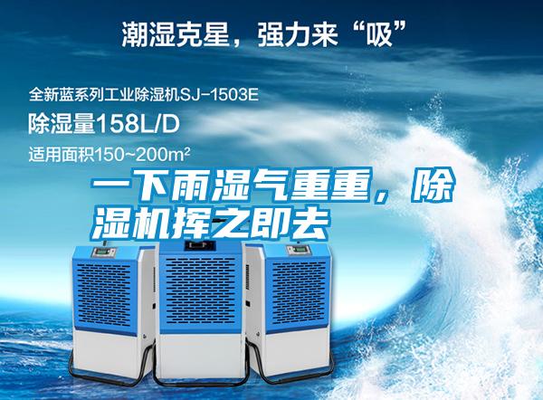 一下雨濕氣重重,除濕機揮之即去