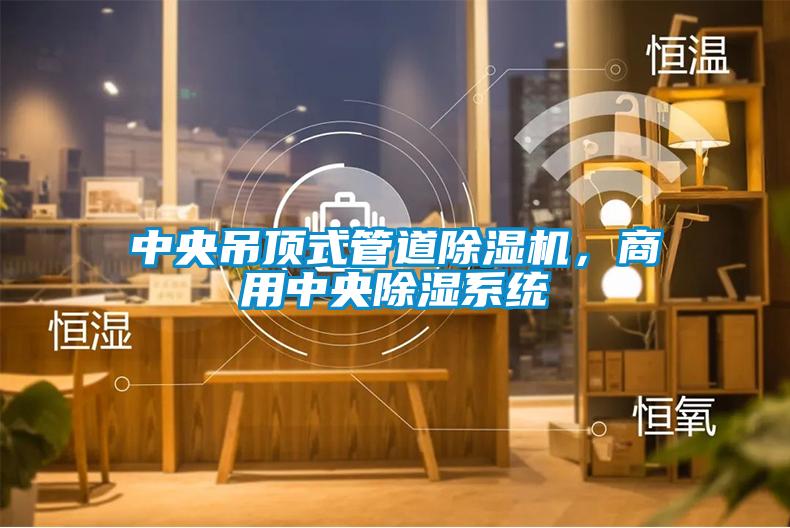 中央吊頂式管道除濕機,商用中央除濕系統