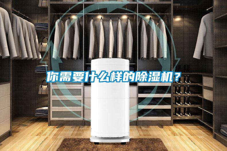 你需要什么樣的除濕機(jī)?