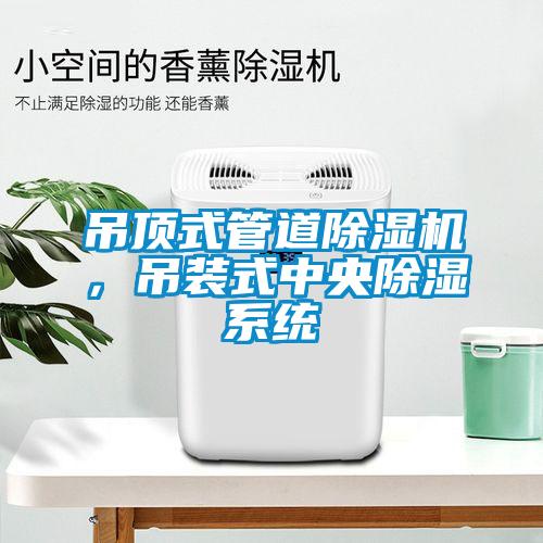 吊頂式管道除濕機,吊裝式中央除濕系統