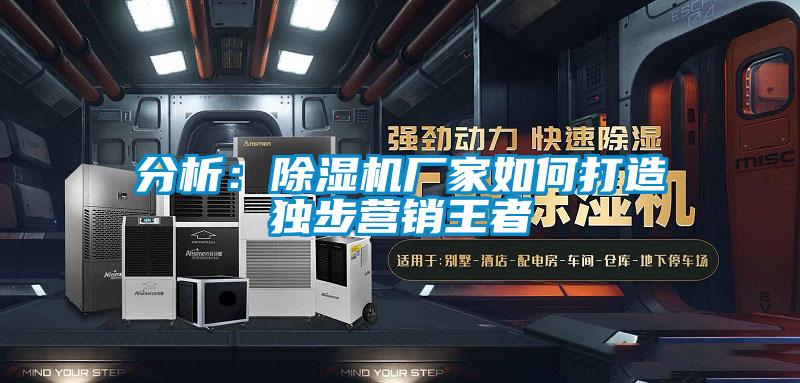 分析:除濕機廠家如何打造獨步營銷王者