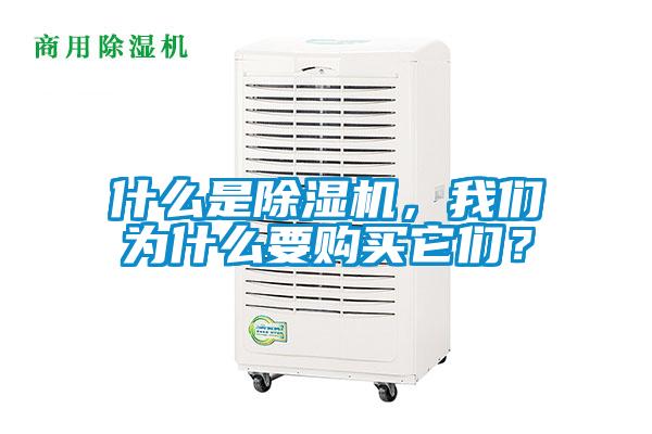 什么是除濕機，我們?yōu)槭裁匆徺I它們？