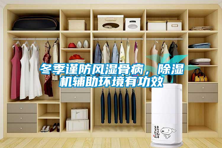 冬季謹防風濕骨病,除濕機輔助環(huán)境有功效