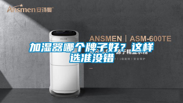 加濕器哪個牌子好?這樣選準沒錯