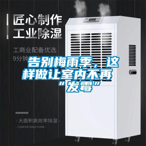 告別梅雨季,這樣做讓室內不再“發霉”