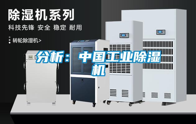 分析:中國工業(yè)除濕機
