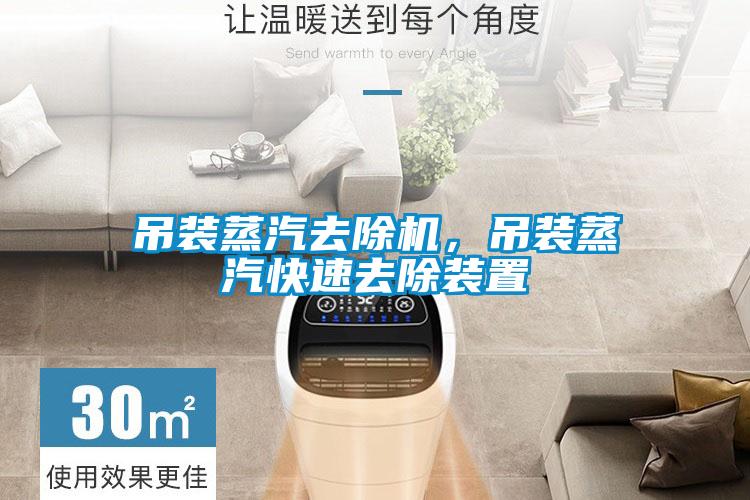 吊裝蒸汽去除機,吊裝蒸汽快速去除裝置