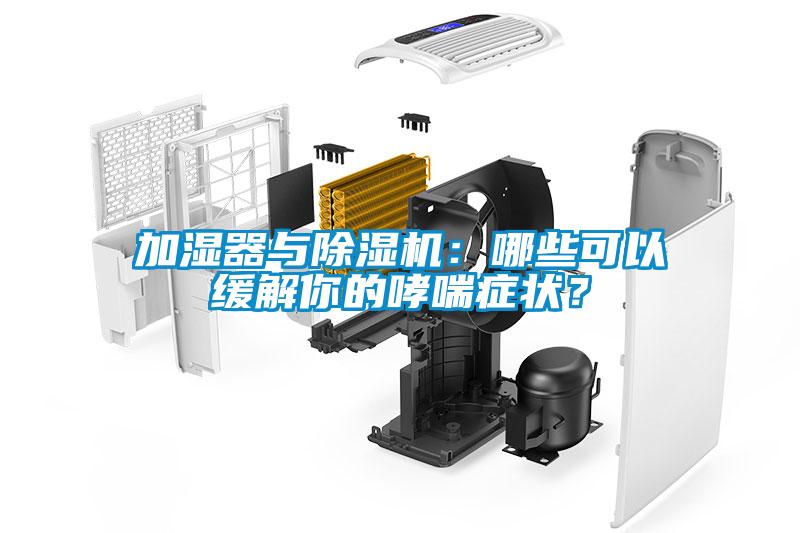 加濕器與除濕機：哪些可以緩解你的哮喘癥狀？