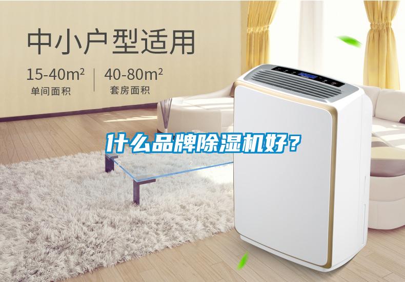 什么品牌除濕機好?