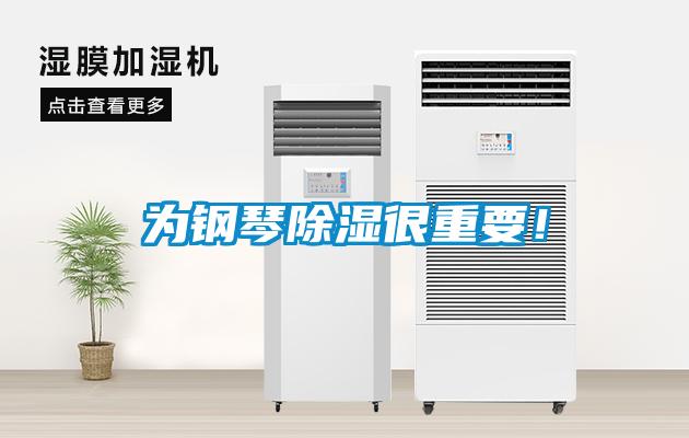 為鋼琴除濕很重要!