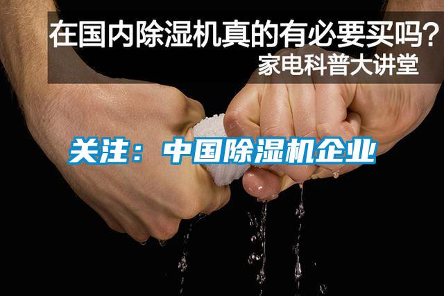 關注:中國除濕機企業