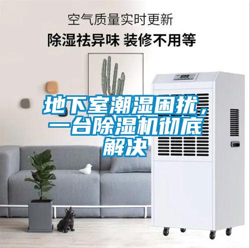 地下室潮濕困擾,一臺除濕機徹底解決