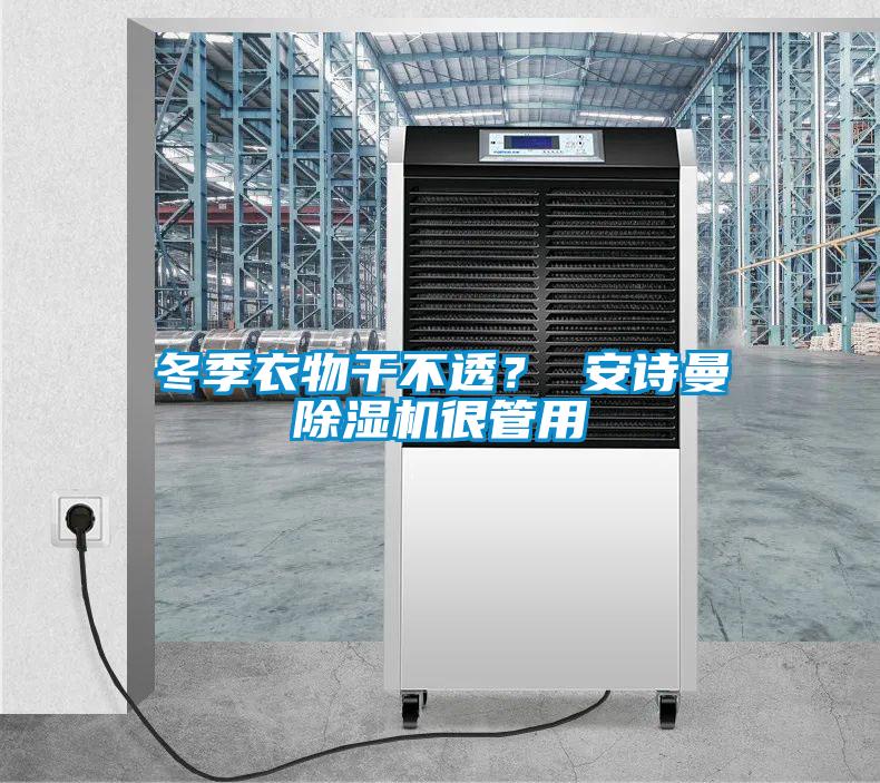 冬季衣物干不透? 安詩曼除濕機很管用