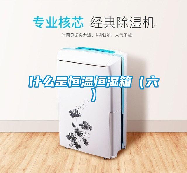 什么是恒溫恒濕箱(六)
