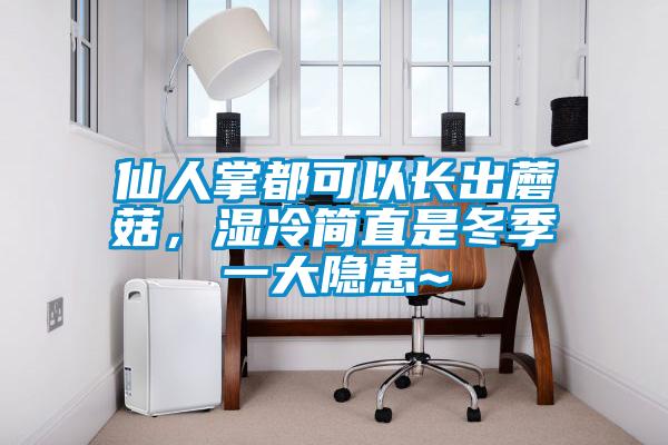 仙人掌都可以長(zhǎng)出蘑菇,濕冷簡(jiǎn)直是冬季一大隱患~