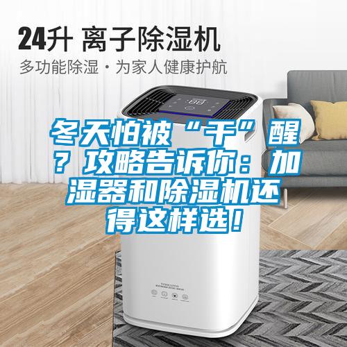 冬天怕被“干”醒？攻略告訴你：加濕器和除濕機還得這樣選！