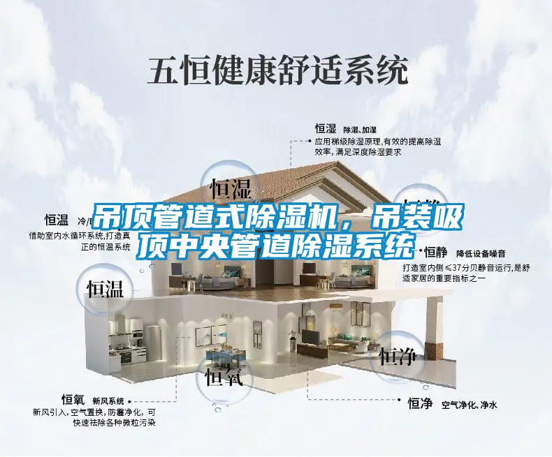 吊頂管道式除濕機,吊裝吸頂中央管道除濕系統