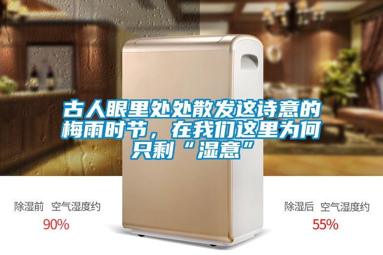 古人眼里處處散發這詩意的梅雨時節,在我們這里為何只剩“濕意”