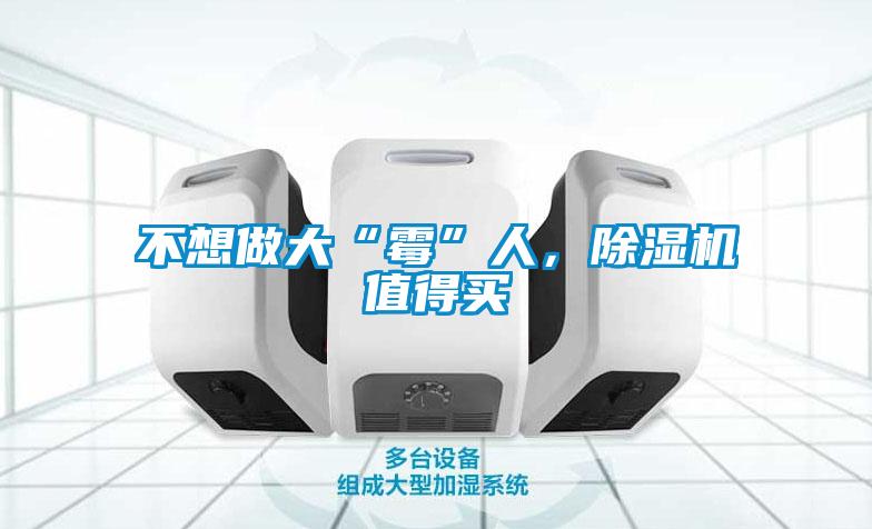 不想做大“霉”人,除濕機(jī)值得買