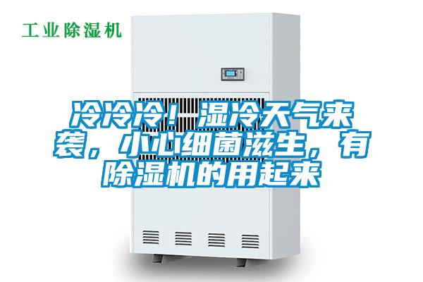 冷冷冷！濕冷天氣來襲，小心細菌滋生，有除濕機的用起來