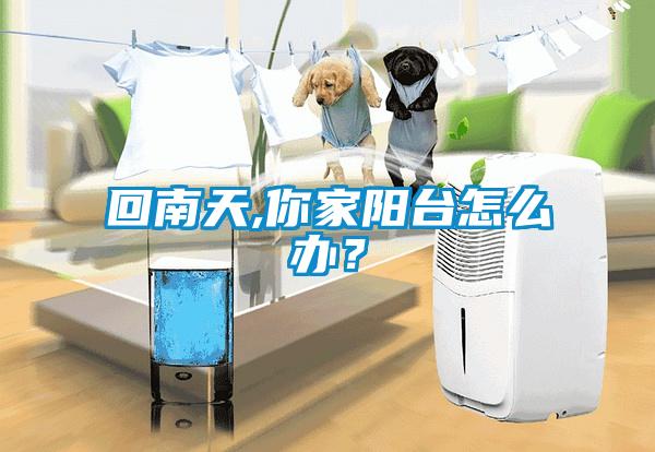 回南天,你家陽臺怎么辦?